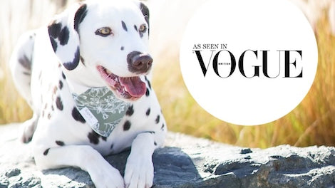 Featured in Vogue Magazine