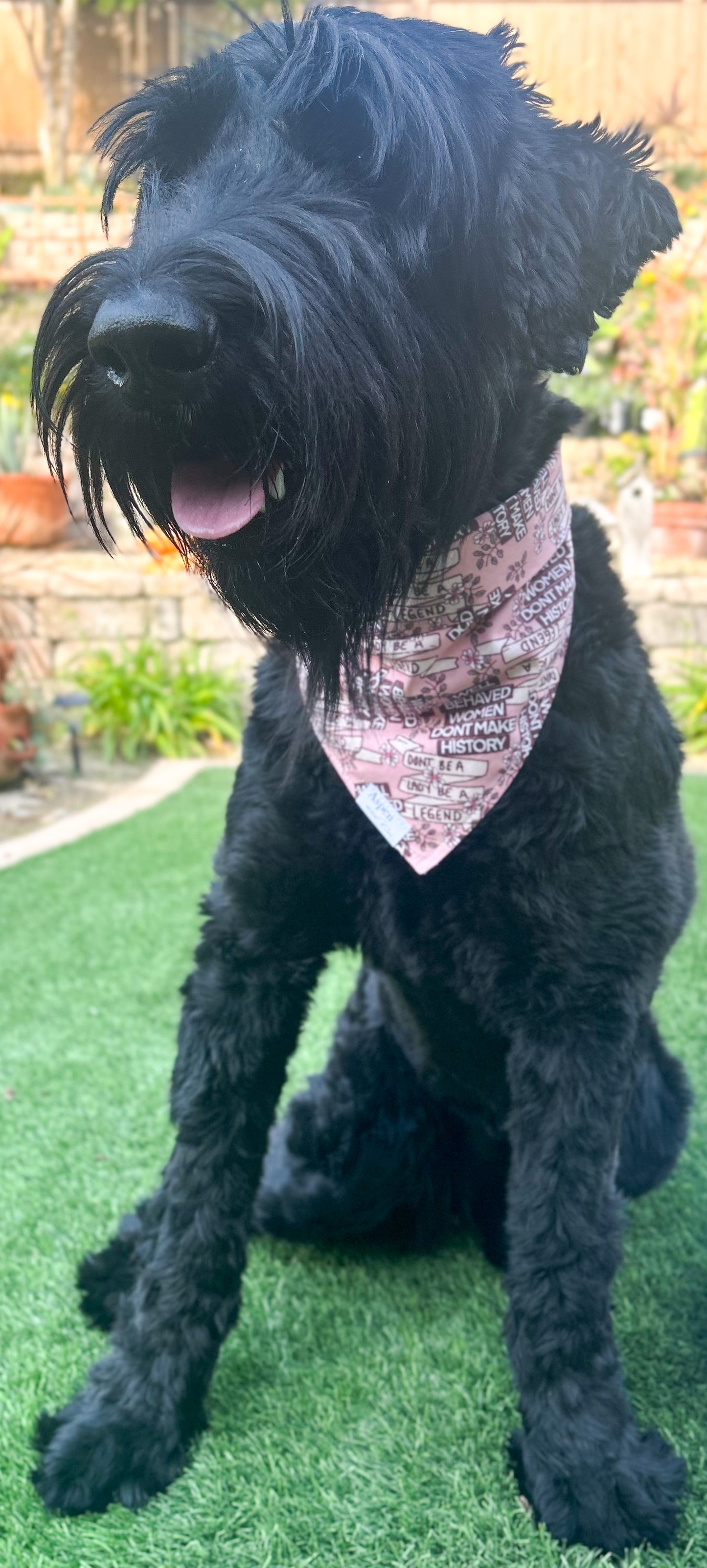 Make History Dog Bandana - Summer Collection + Mental Health Collection