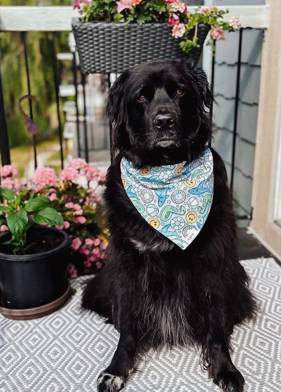 Pool Party Dog Bandana - Summer Collection