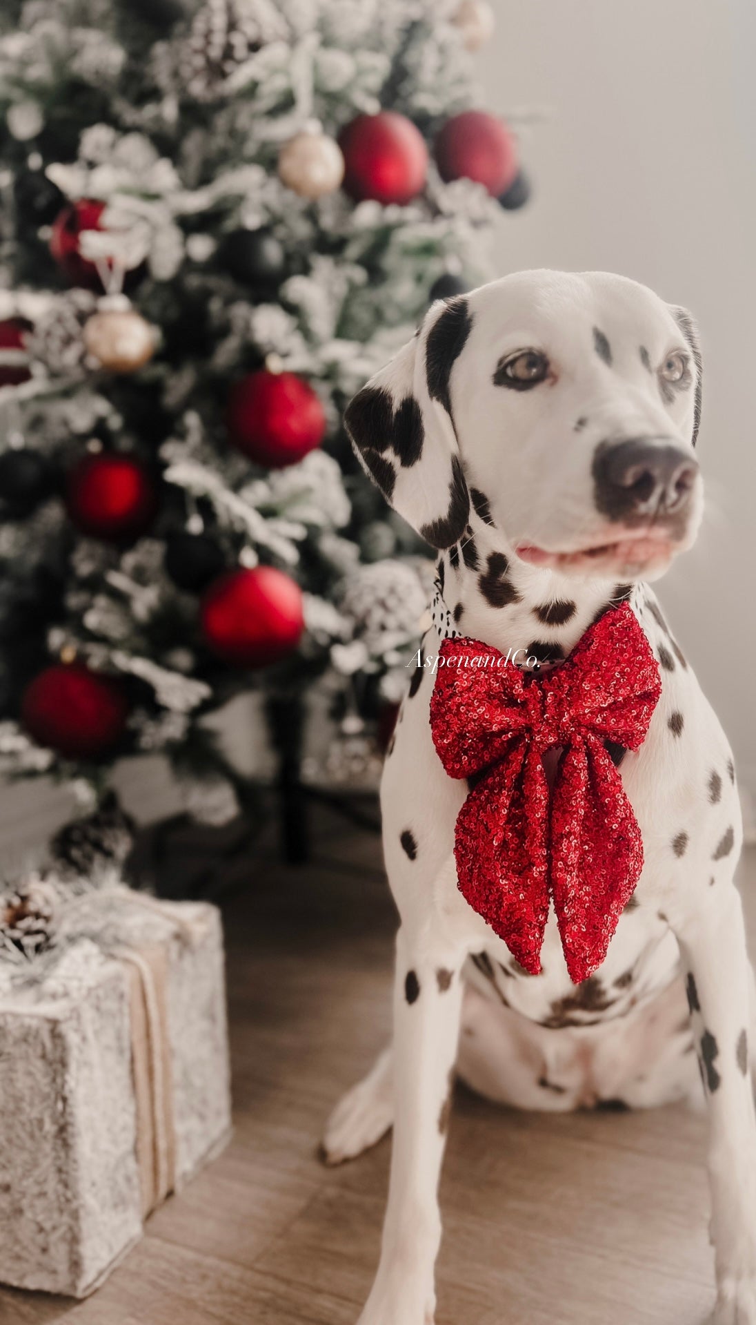 Fluffy Dog Collar Bow Tie - Christmas Sparkle (you choose style)