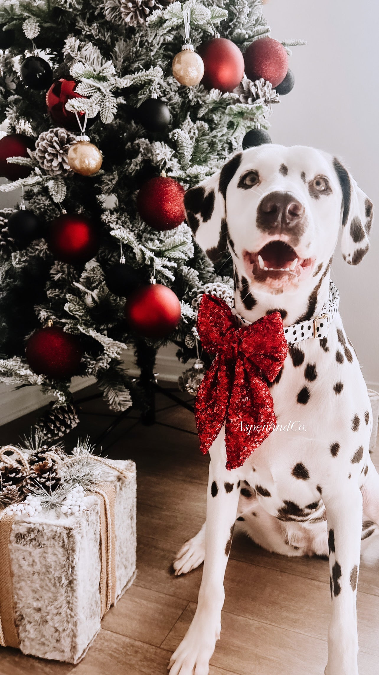 Fluffy Dog Collar Bow Tie - Christmas Sparkle (you choose style)
