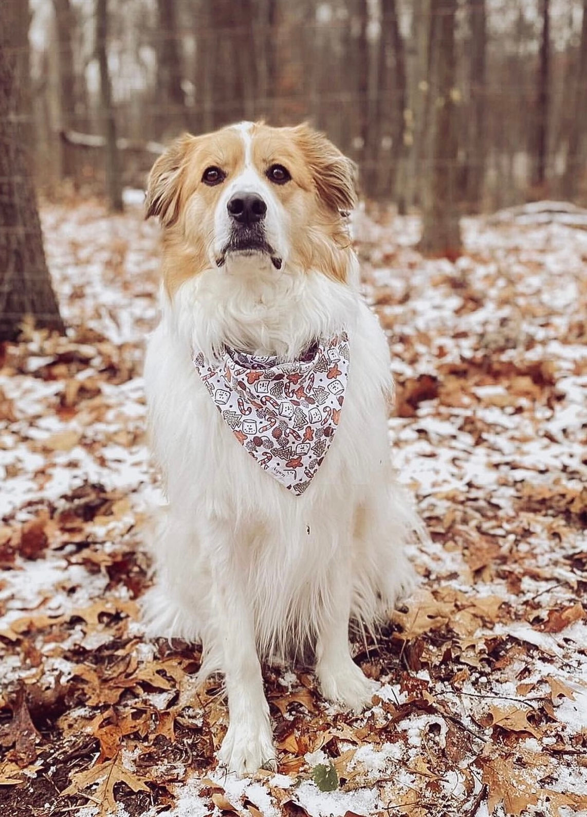 Santa Snacks - Holiday Dog Bandana