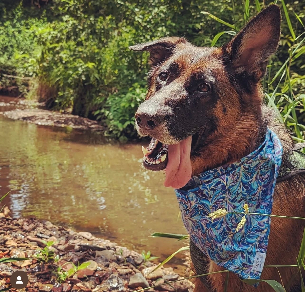 Mystique Mermaid Dog Bandana - Summer Collection
