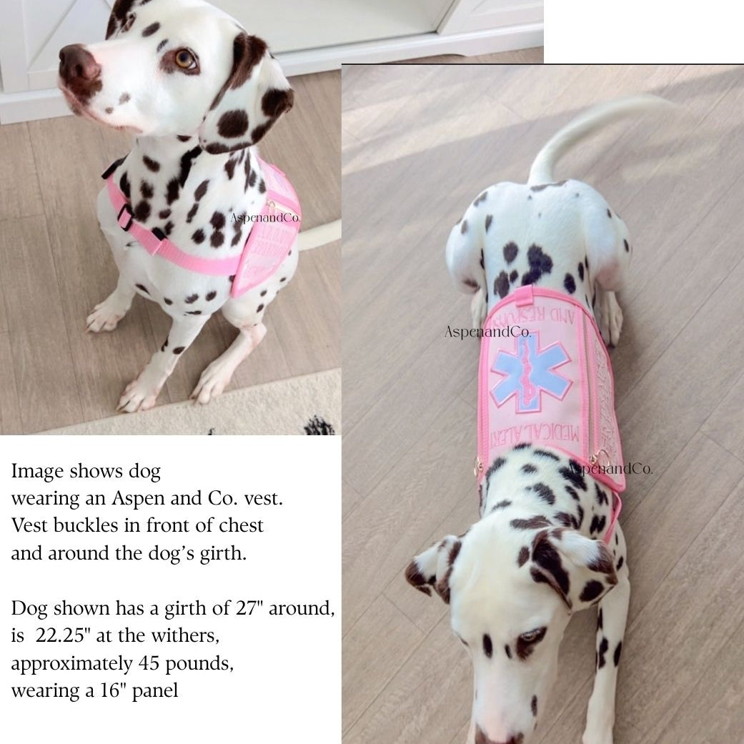 Dalmatian dog wearing a pink medical alert service dog vest with an Aspen & Co. label on a wooden floor.