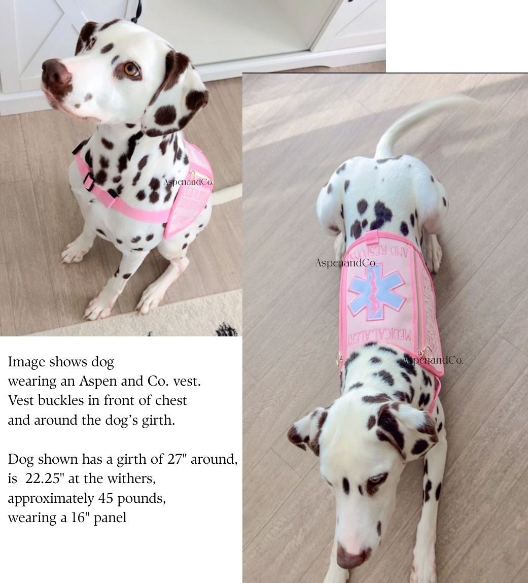 Dalmatian dog wearing a pink medical alert service dog vest with an Aspen & Co. label on a wooden floor.