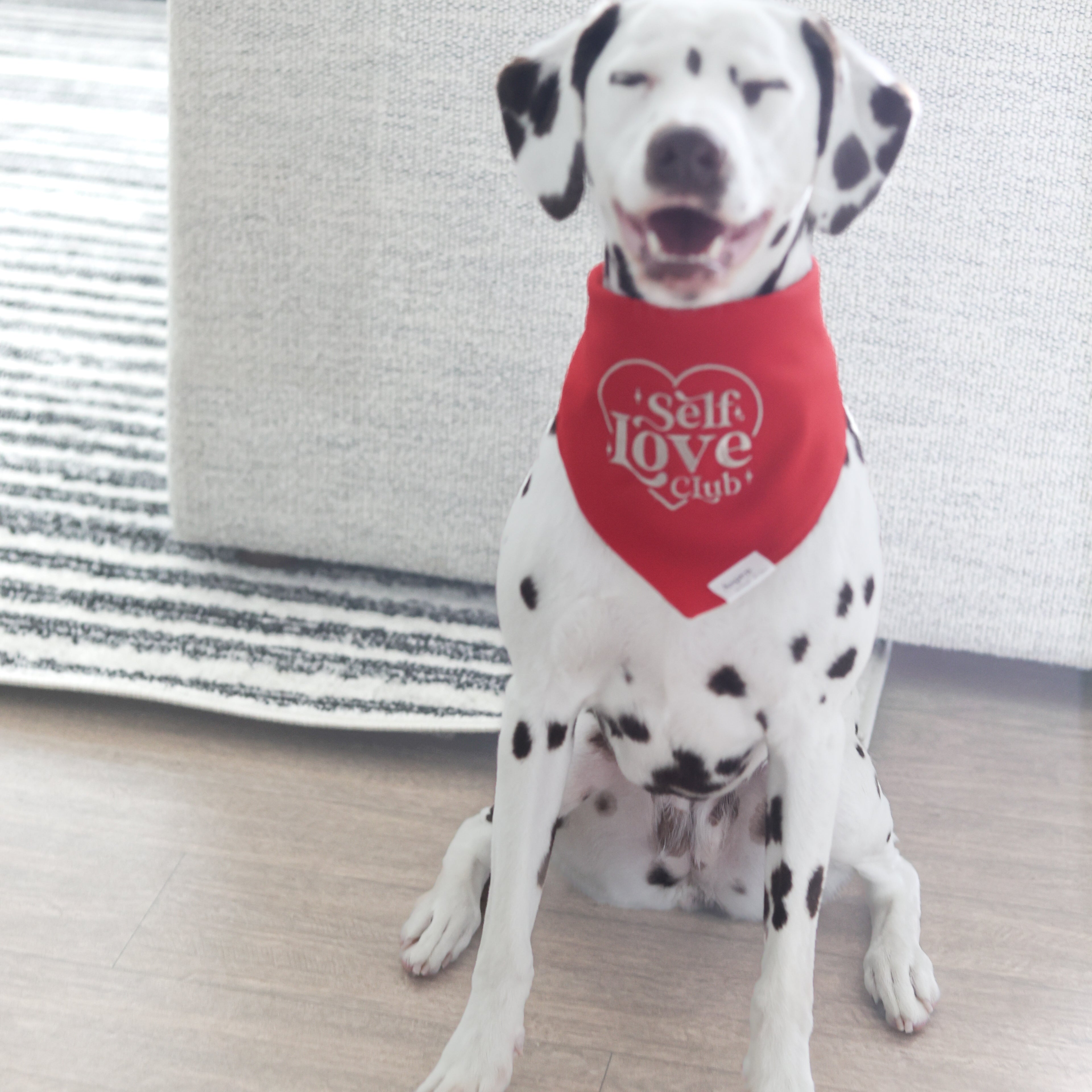 Smiling Dalmatian wearing a cool-toned red embroidered dog bandana with beige stitching that reads “Self Love Club” inside a heart; cute mental health-themed pet accessory.