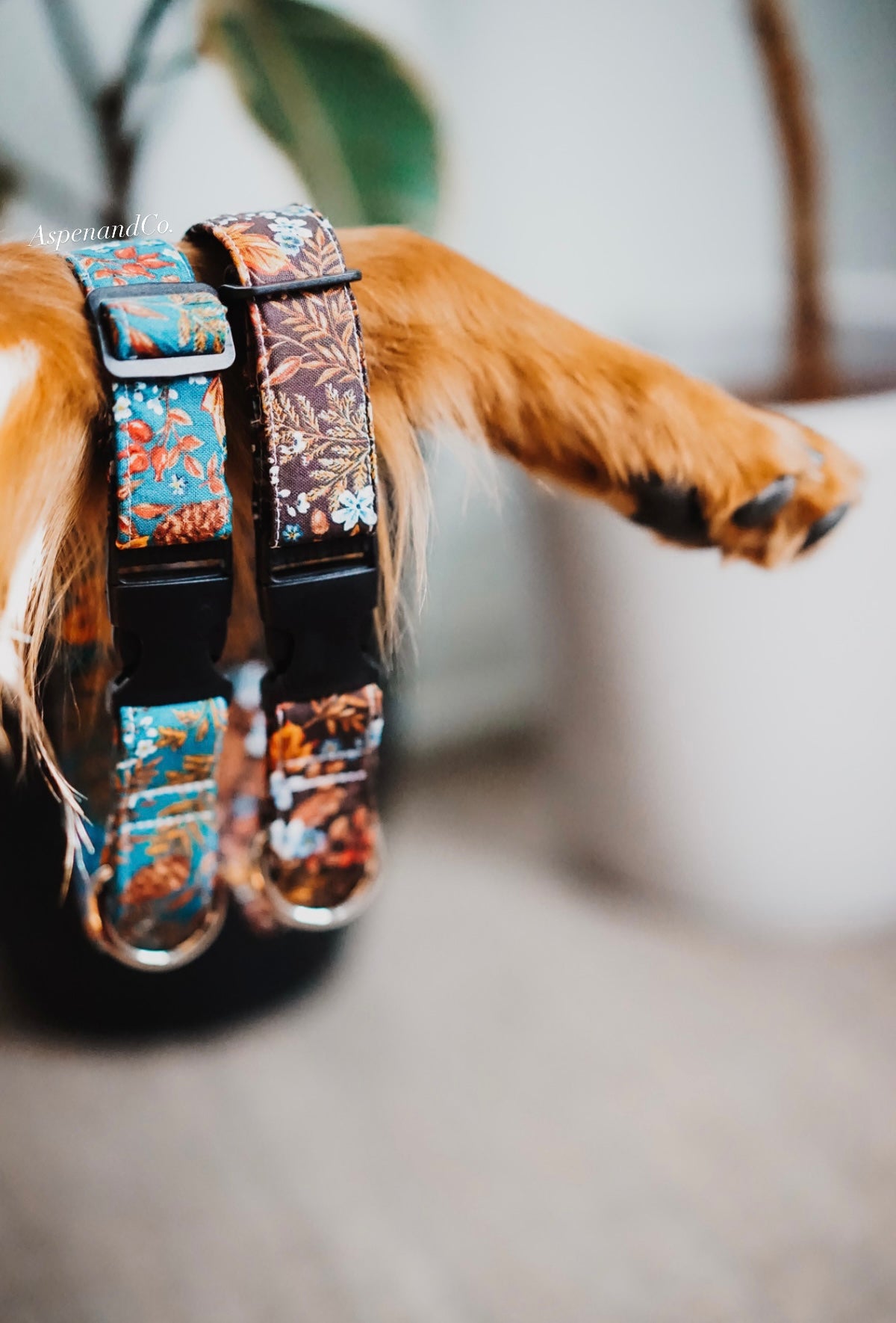 Autumn Dog Collar - (Brown)
