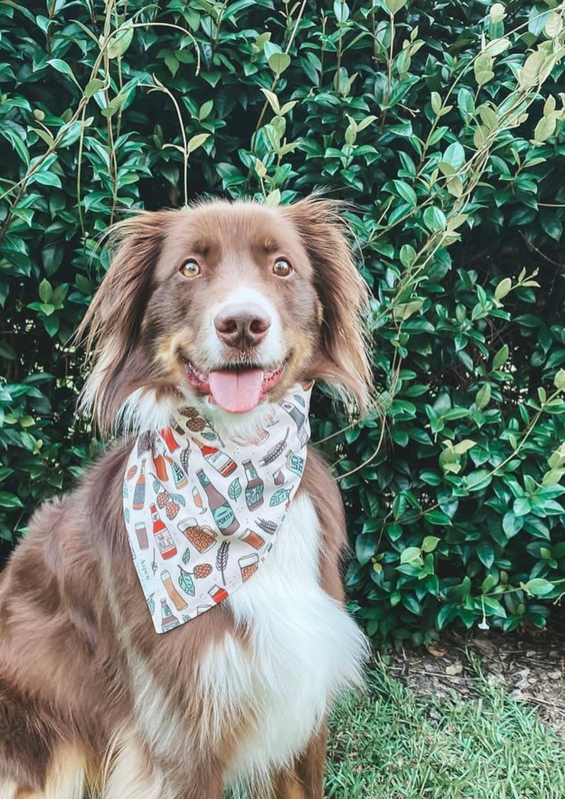 Brewery Dog Bandana - Summer Collection
