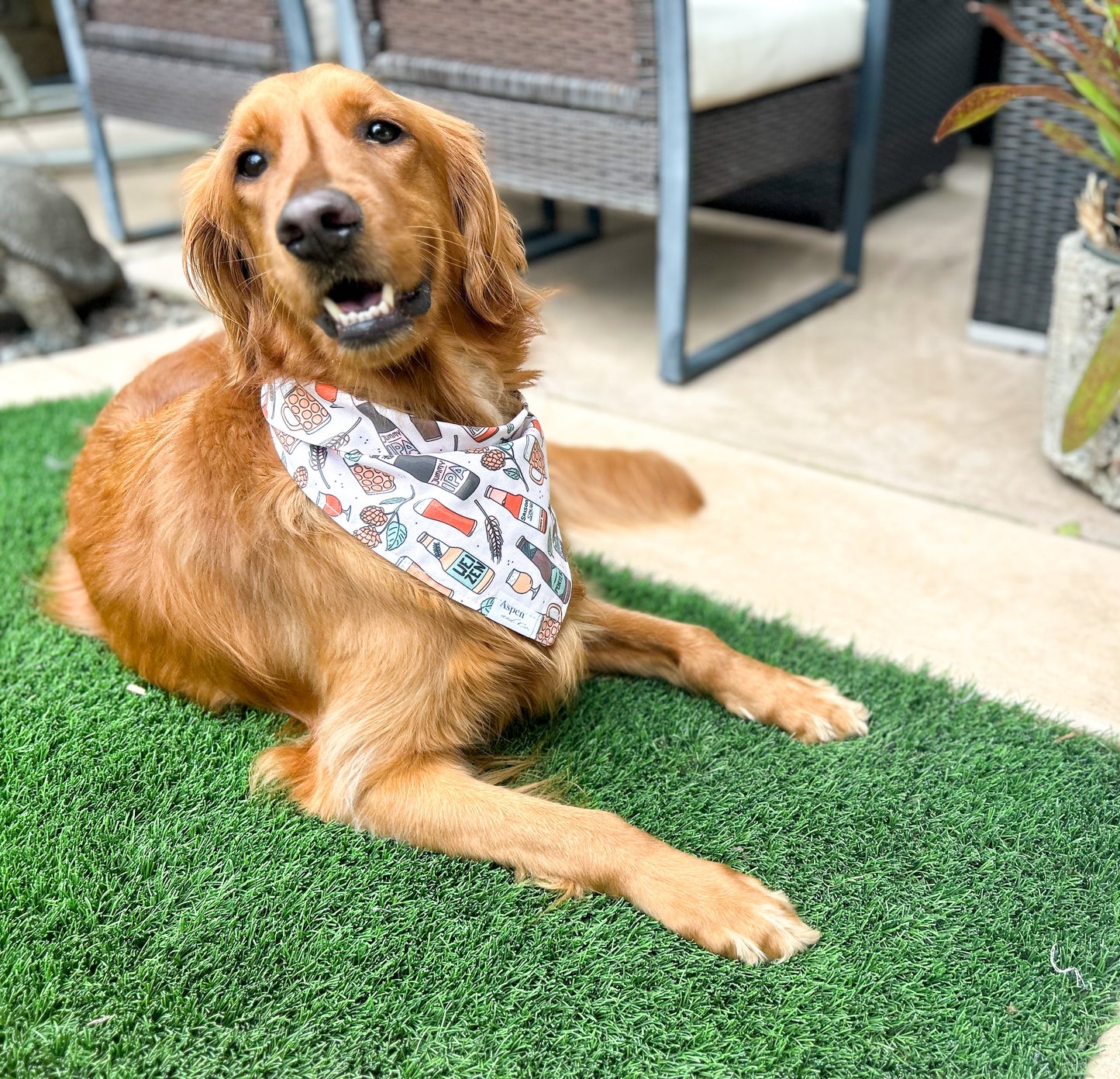Brewery Dog Bandana - Summer Collection