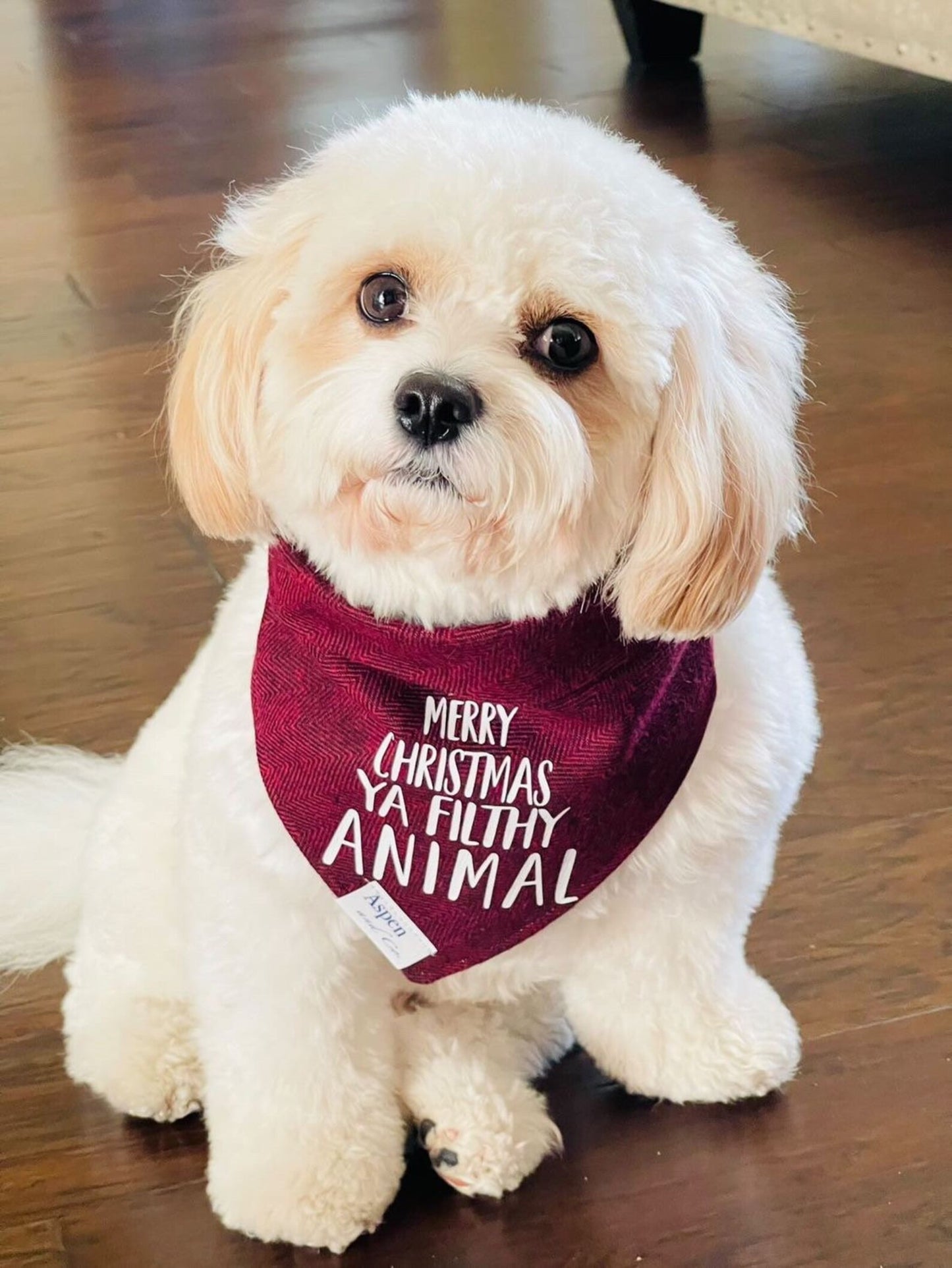 Home Alone (Merry Christmas Ya Filthy Animal) - Holiday Dog Bandana