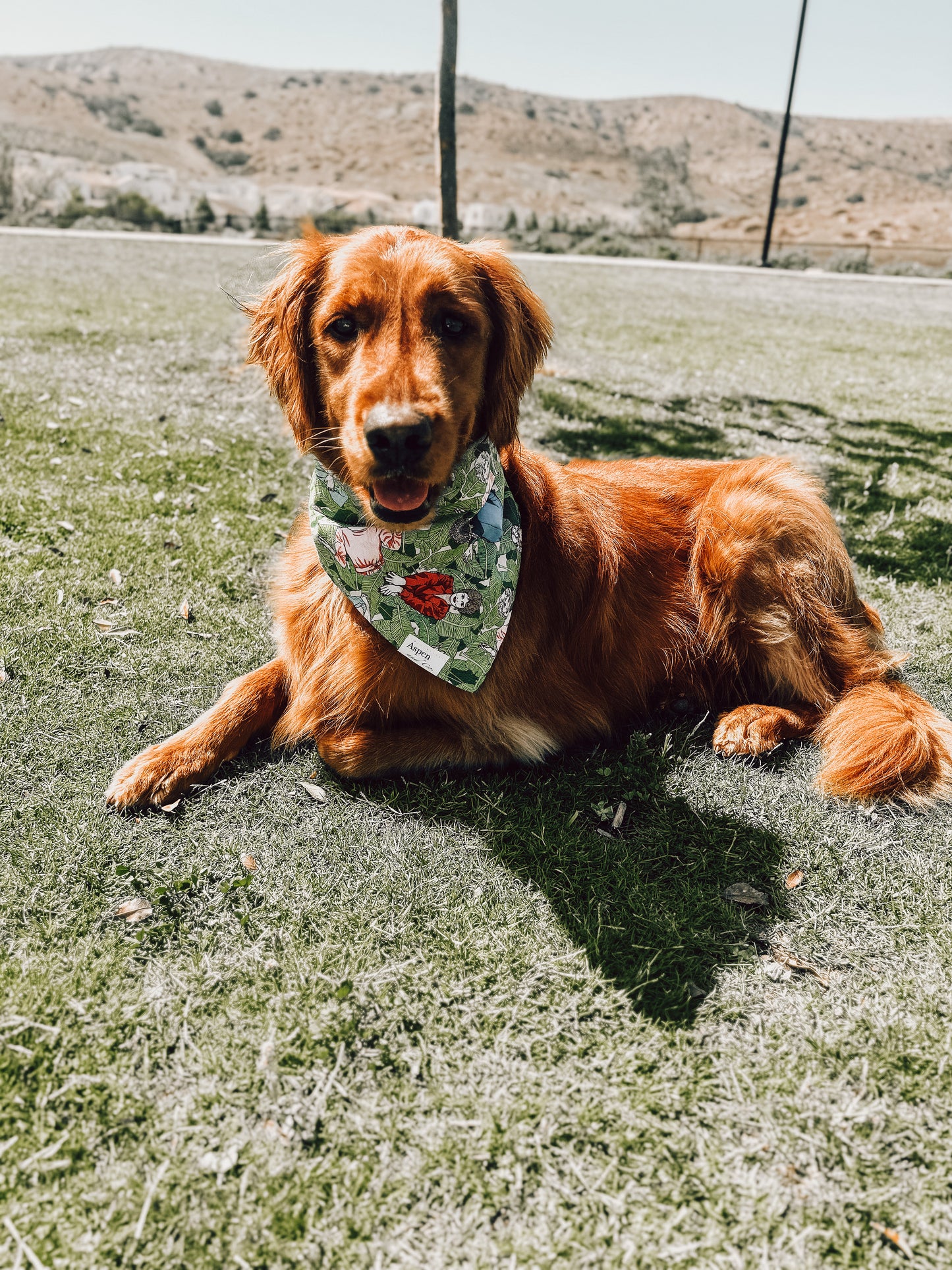 Golden Jungle (Snap on) Dog Bandana
