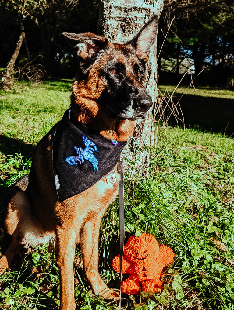 Embroidered Ghost - Halloween Dog Bandana
