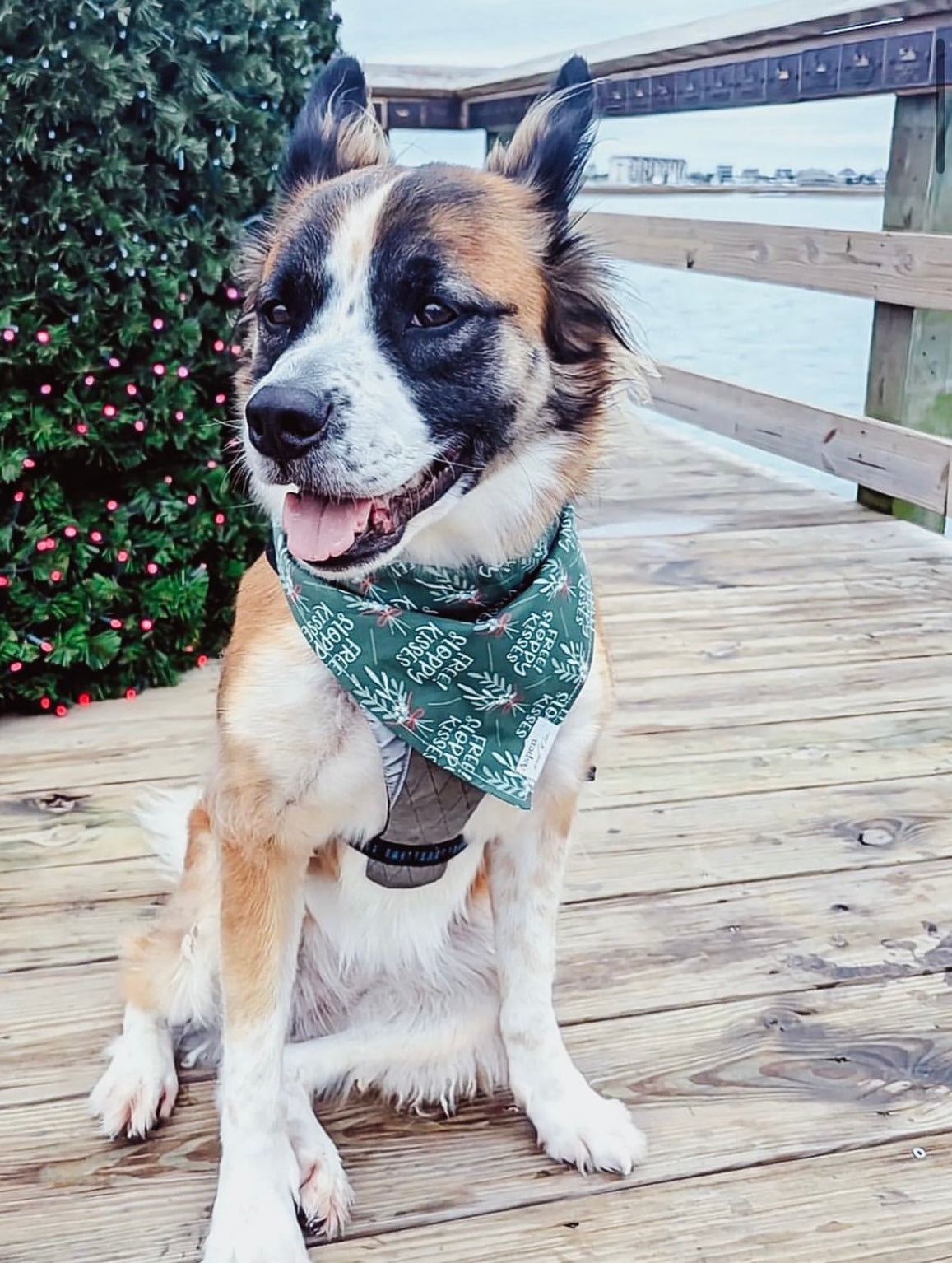 Mistletoe -Holiday Dog Bandana