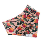 Bandana curved neckline — Close-up of slip-on dog bandana showing secure curved neckline design for comfortable fit.