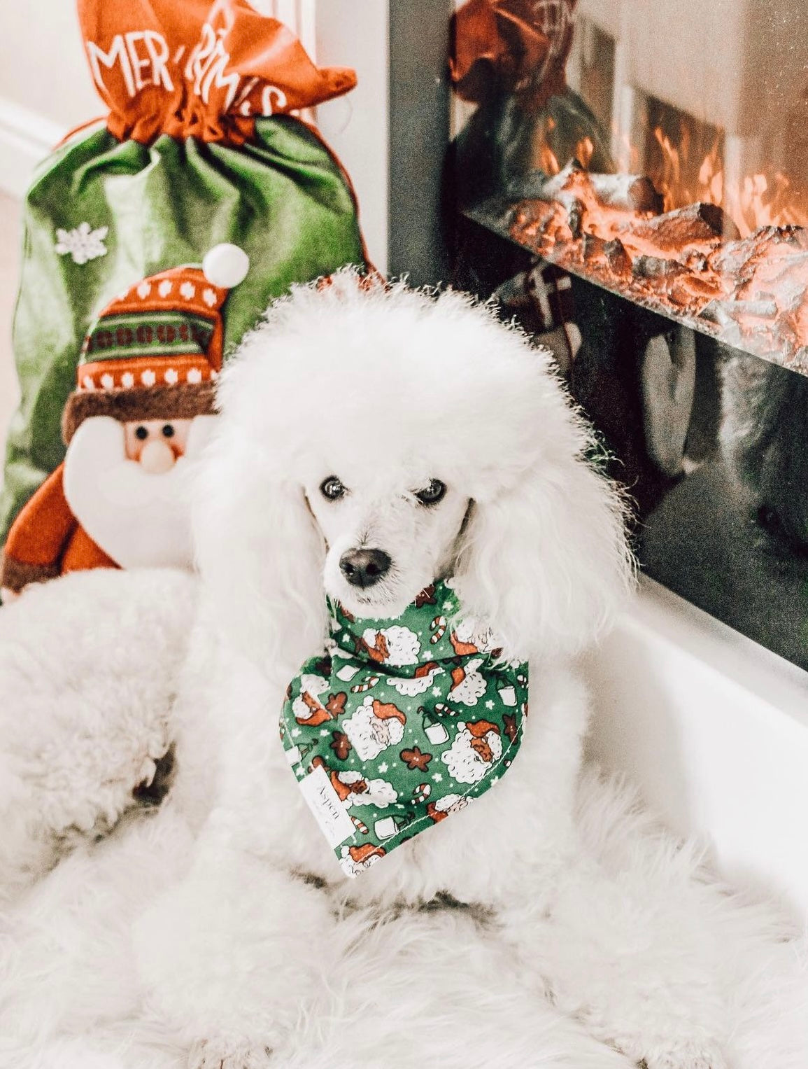 Saint Nick ( Green or Pink ) Holiday Dog Bandana