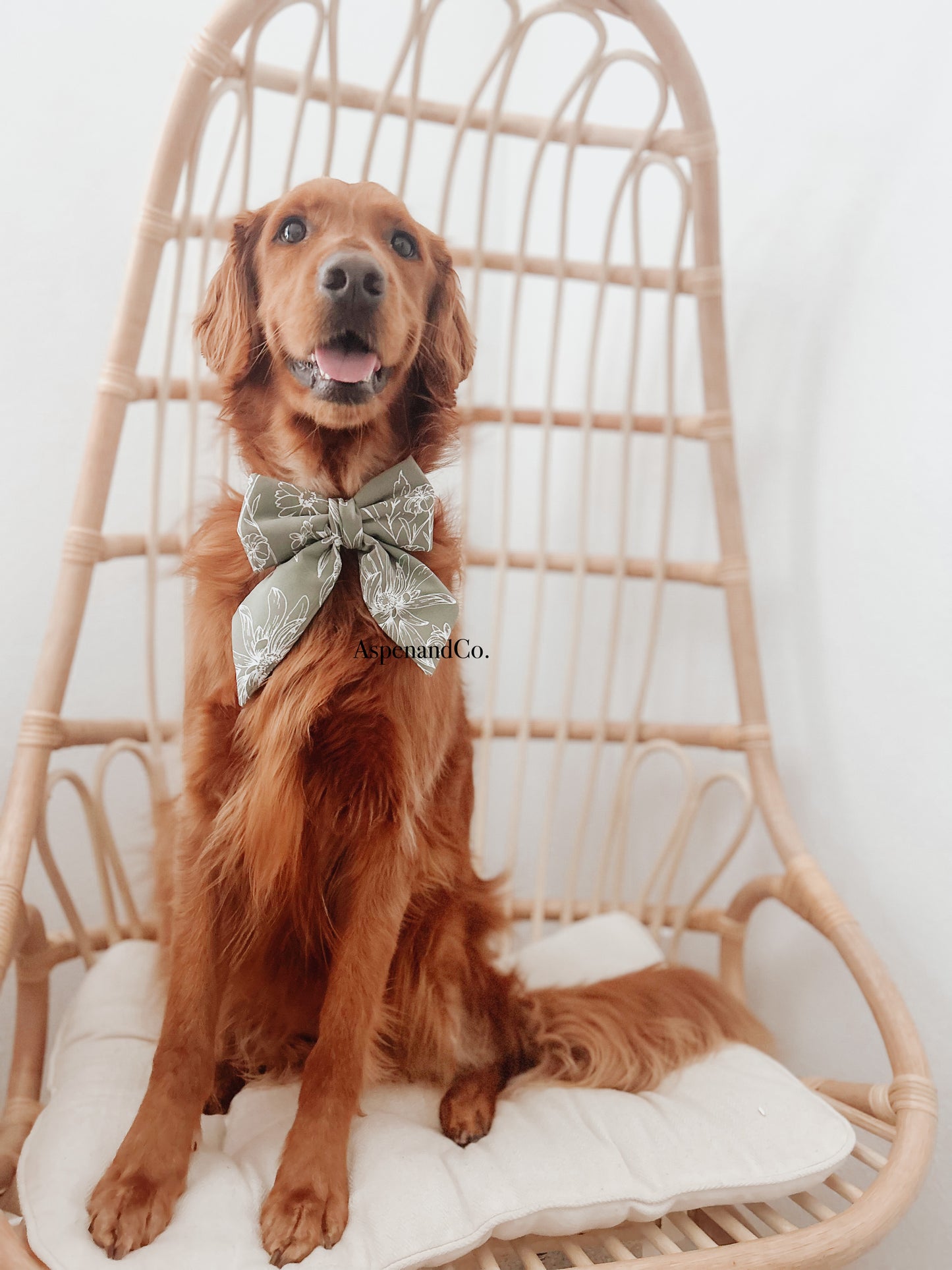 Fluffy Dog Collar Bow Tie -St. Lucia