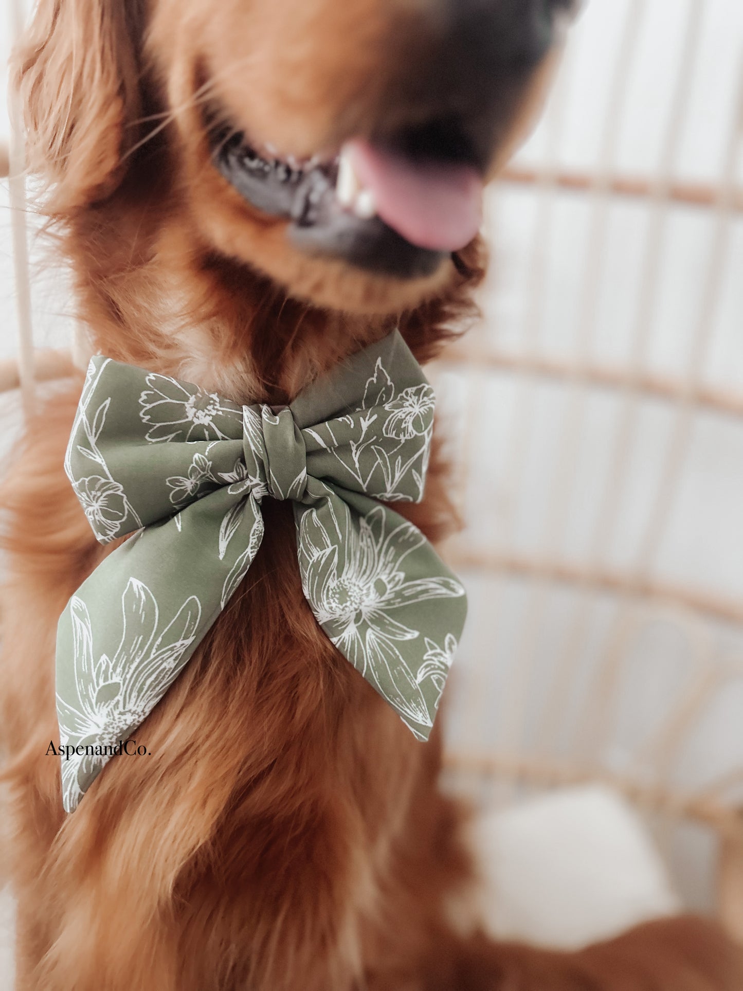 Fluffy Dog Collar Bow Tie -St. Lucia
