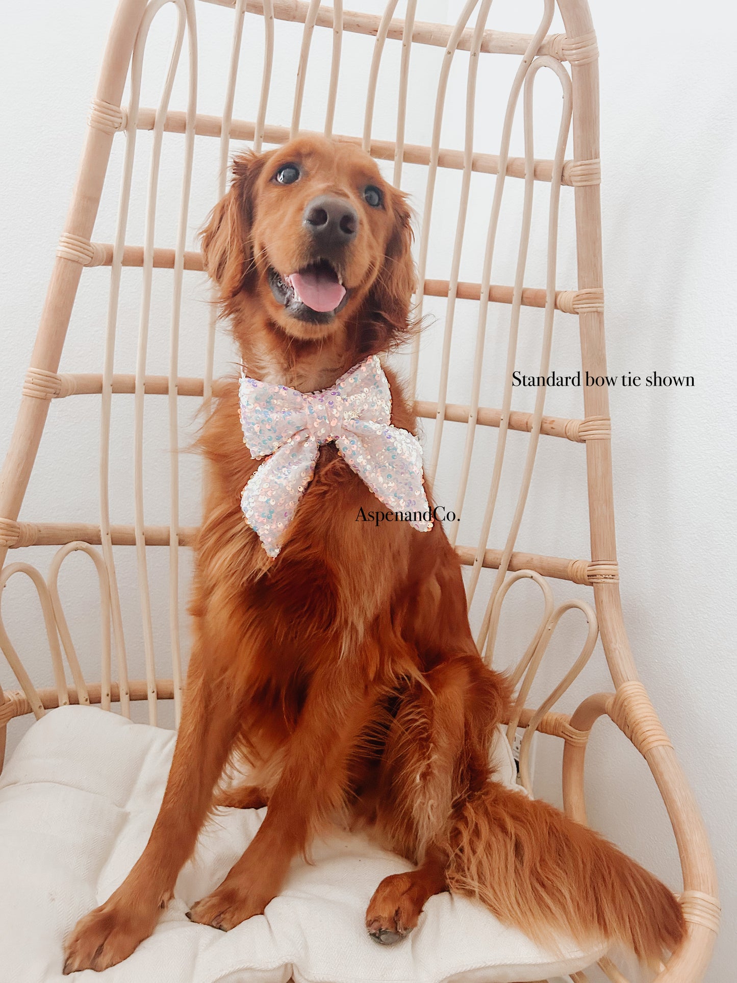 Fluffy Dog Collar Bow Tie - Sparkle (Sequins)