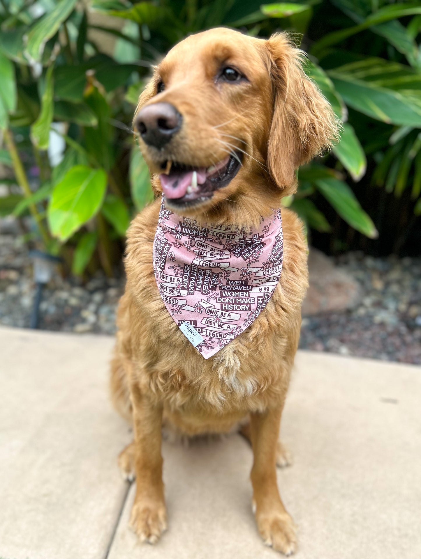 Make History Dog Bandana - Summer Collection + Mental Health Collection