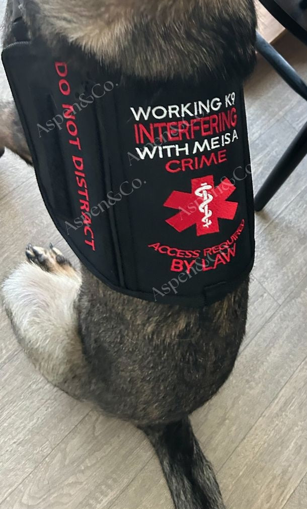 A dog wearing the Aspen & Co. Working K9 vest indoors. The vest features red and white embroidery, a bold red medical symbol, and clearly visible warnings such as “DO NOT DISTRACT” and “ACCESS REQUIRED BY LAW.” Dog's girth is just shy of 31"