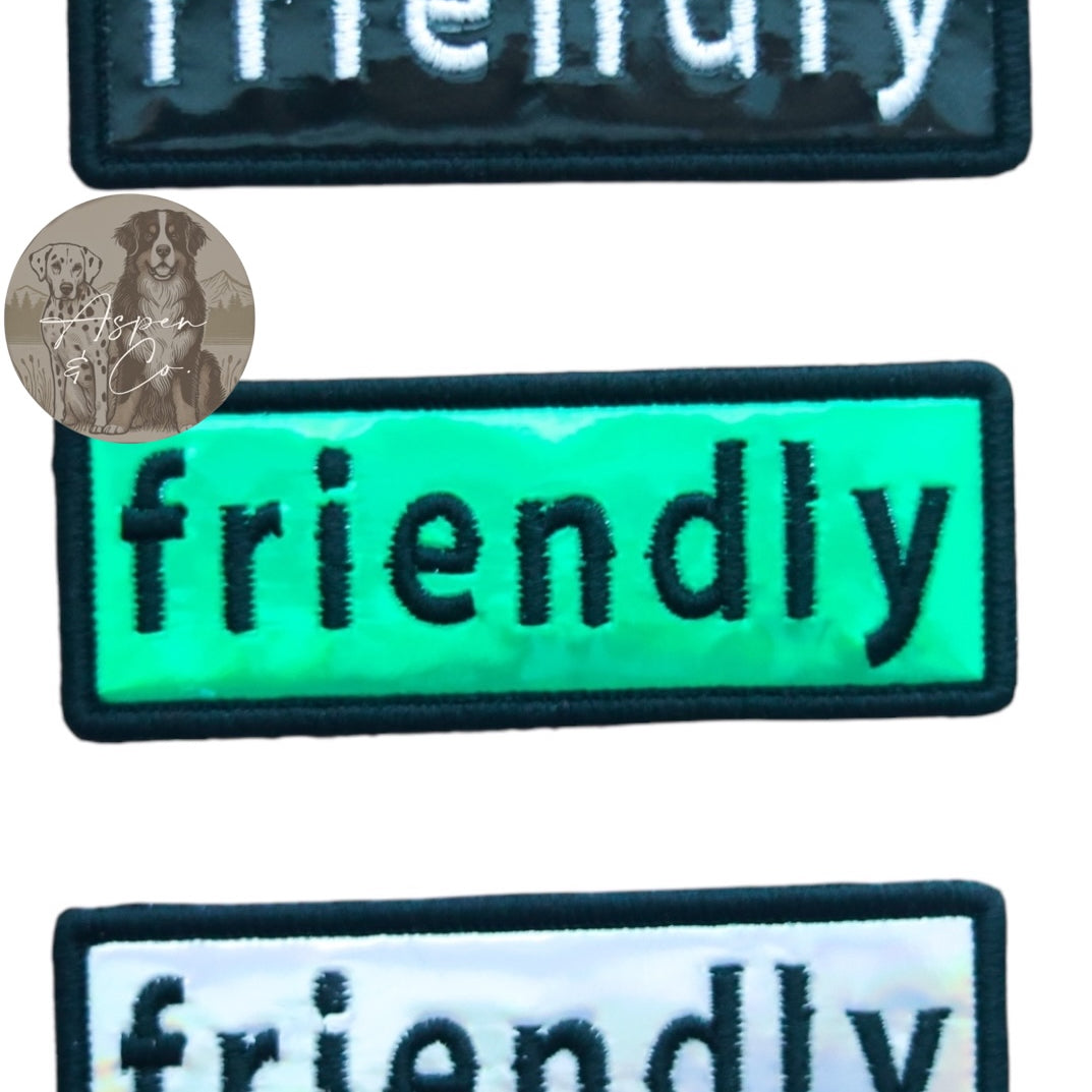 Holographic embroidered dog patch reading 'friendly' in lowercase letters, designed for use on collars, harnesses, vests, or capes. Ideal for therapy dogs, training, and pets, featuring a reflective finish and hook backing