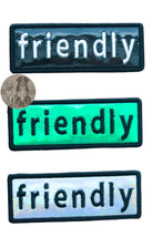Holographic embroidered dog patch reading 'friendly' in lowercase letters, designed for use on collars, harnesses, vests, or capes. Ideal for therapy dogs, training, and pets, featuring a reflective finish and hook backing