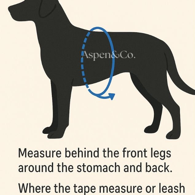 Diagram showing how to measure a dog's girth with text and a silhouette of a dog.