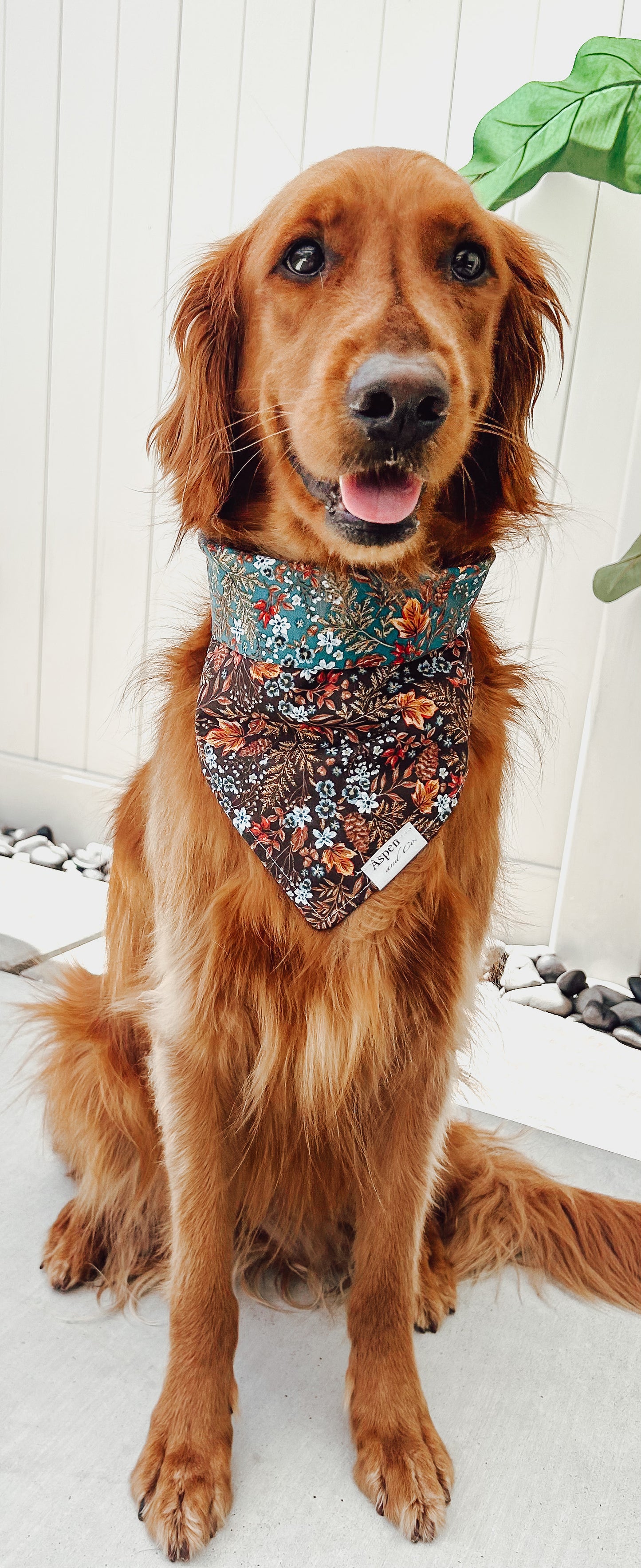 Autumn - Reversible Dog Bandana - Fall Collection