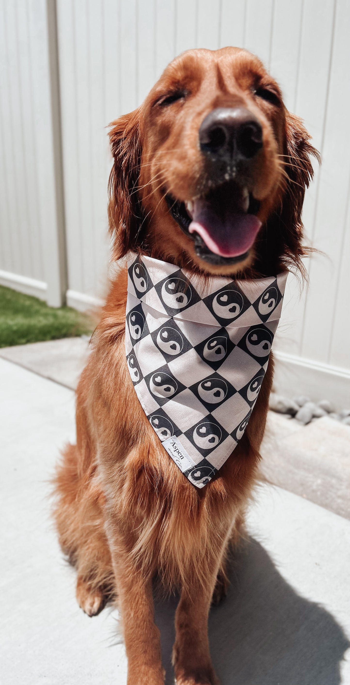 Peace Dog Bandana - Summer Collection + Mental Health Collection