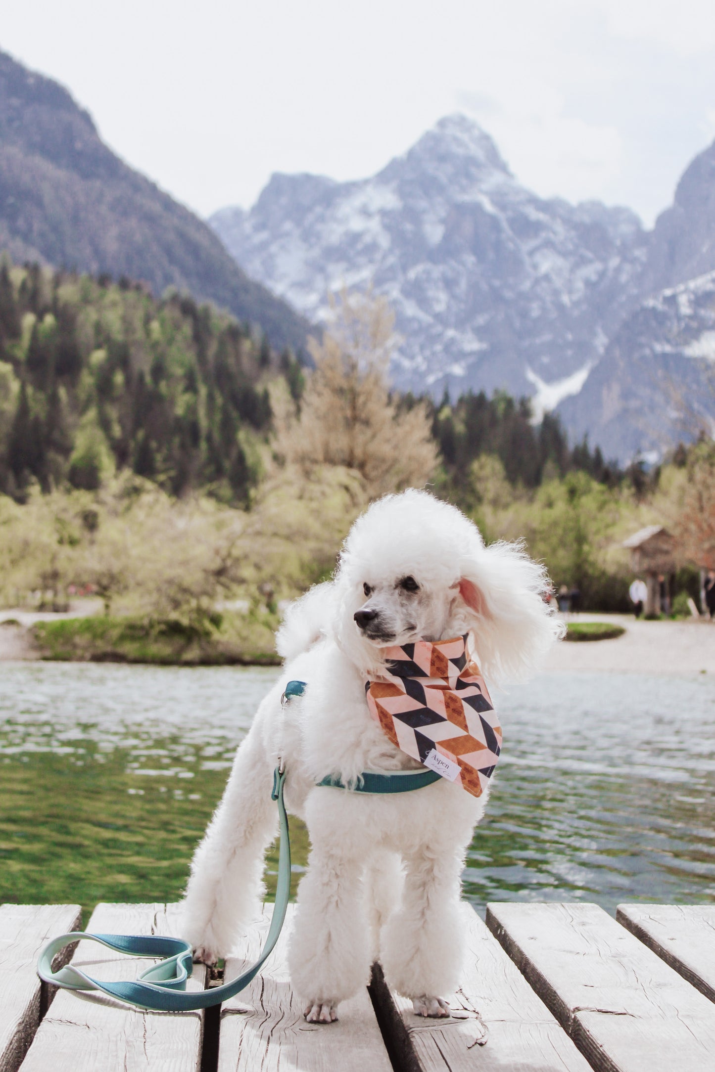 Petra Dog Bandana - Clay Collection