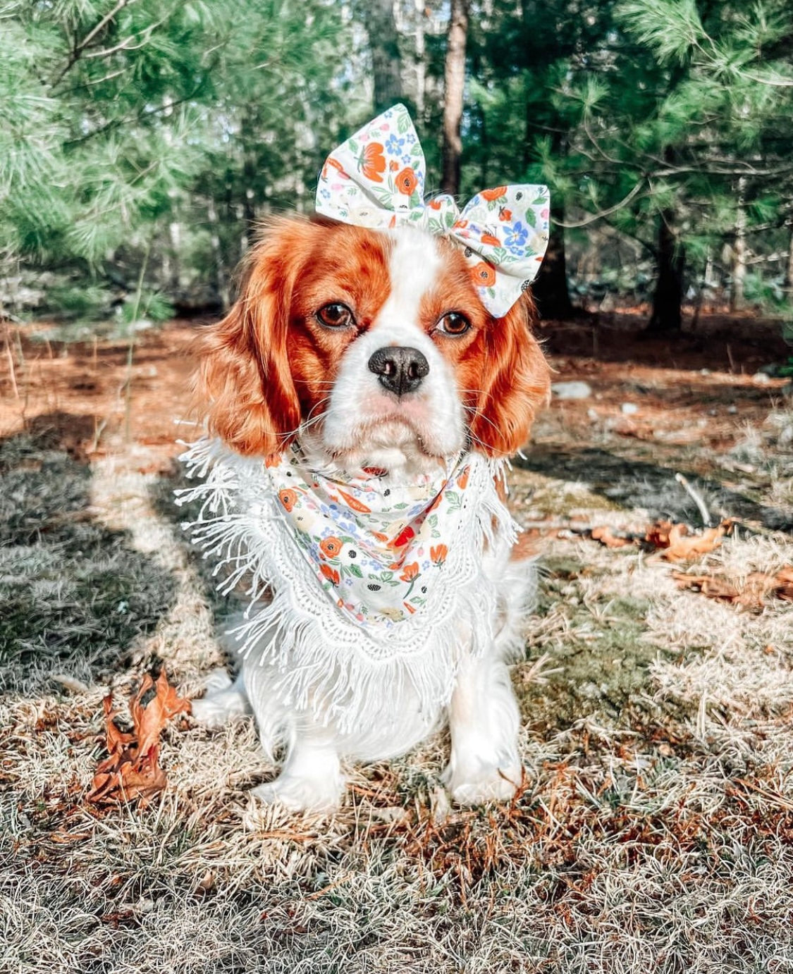 Spring Garden (white trim) Dog Bandana - Spring Dog Bandana