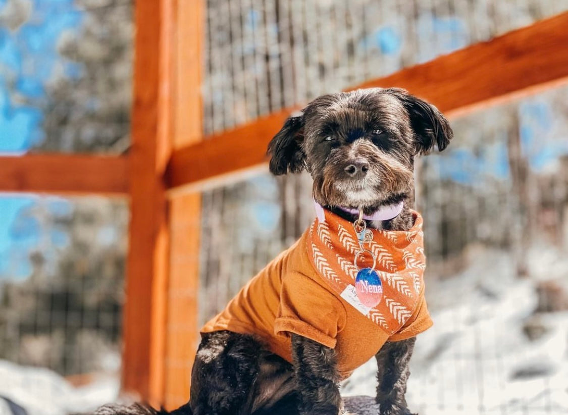 Fern Dog Bandana - Clay Collection