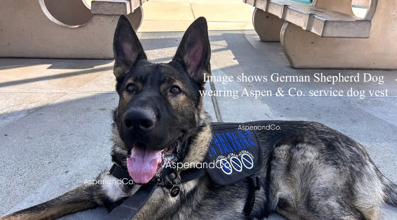 German Shepherd dog wearing an Aspen & Co. service dog vest on a concrete surface.