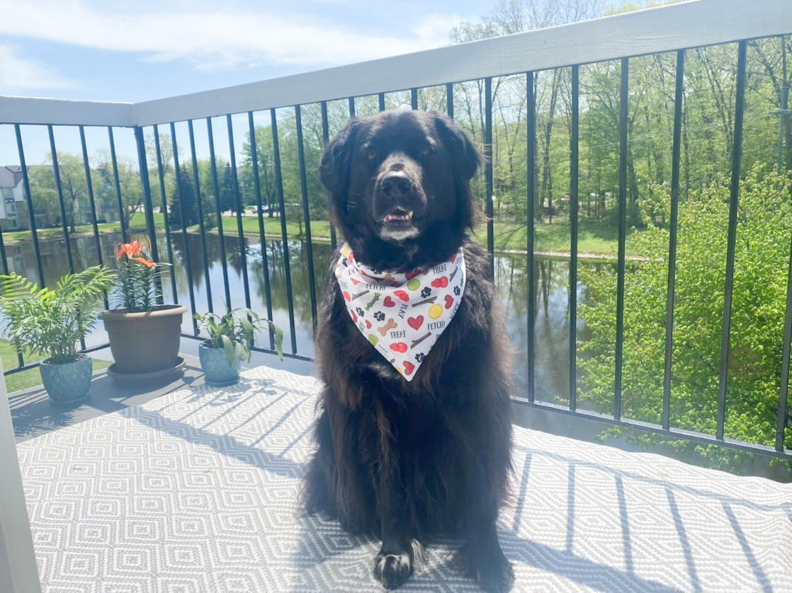 Dog Bandana - Dog Life