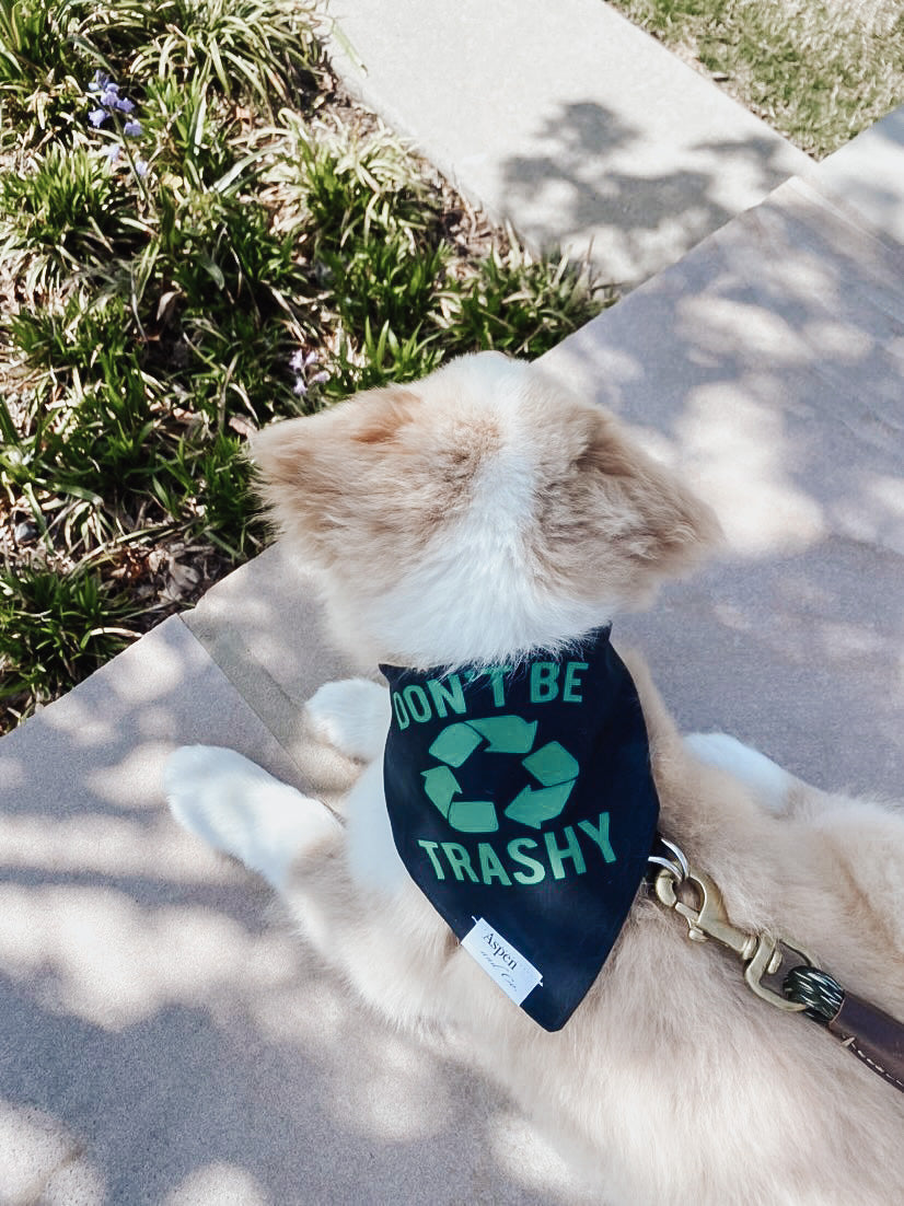 Dog Bandana - Recycle