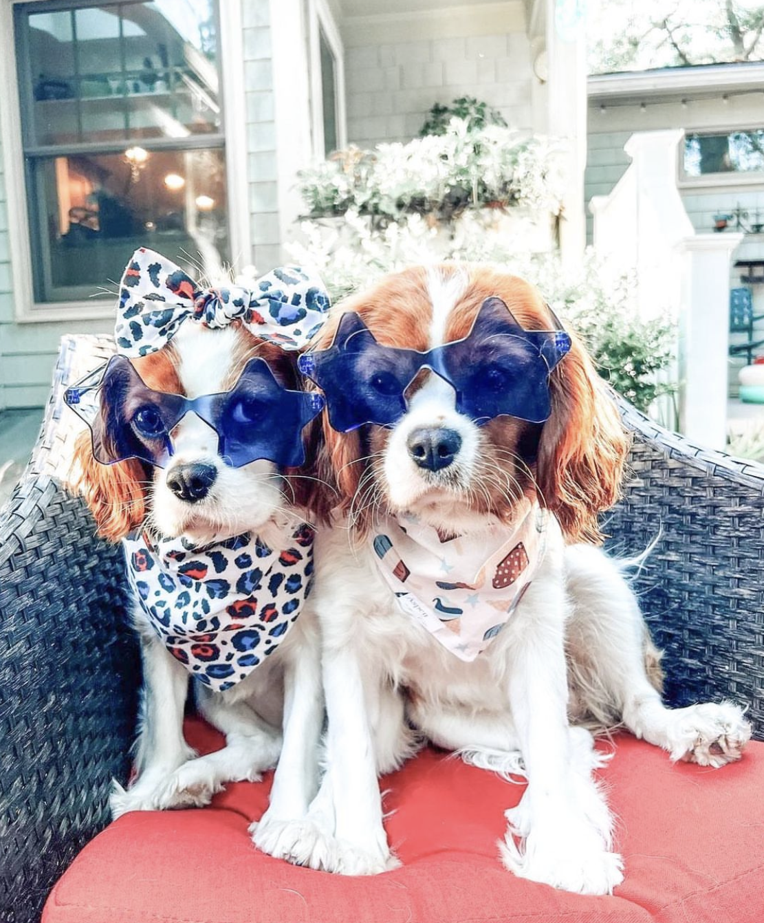 Dog Bandana - Neutral Popsicles (4th of July Bandana)