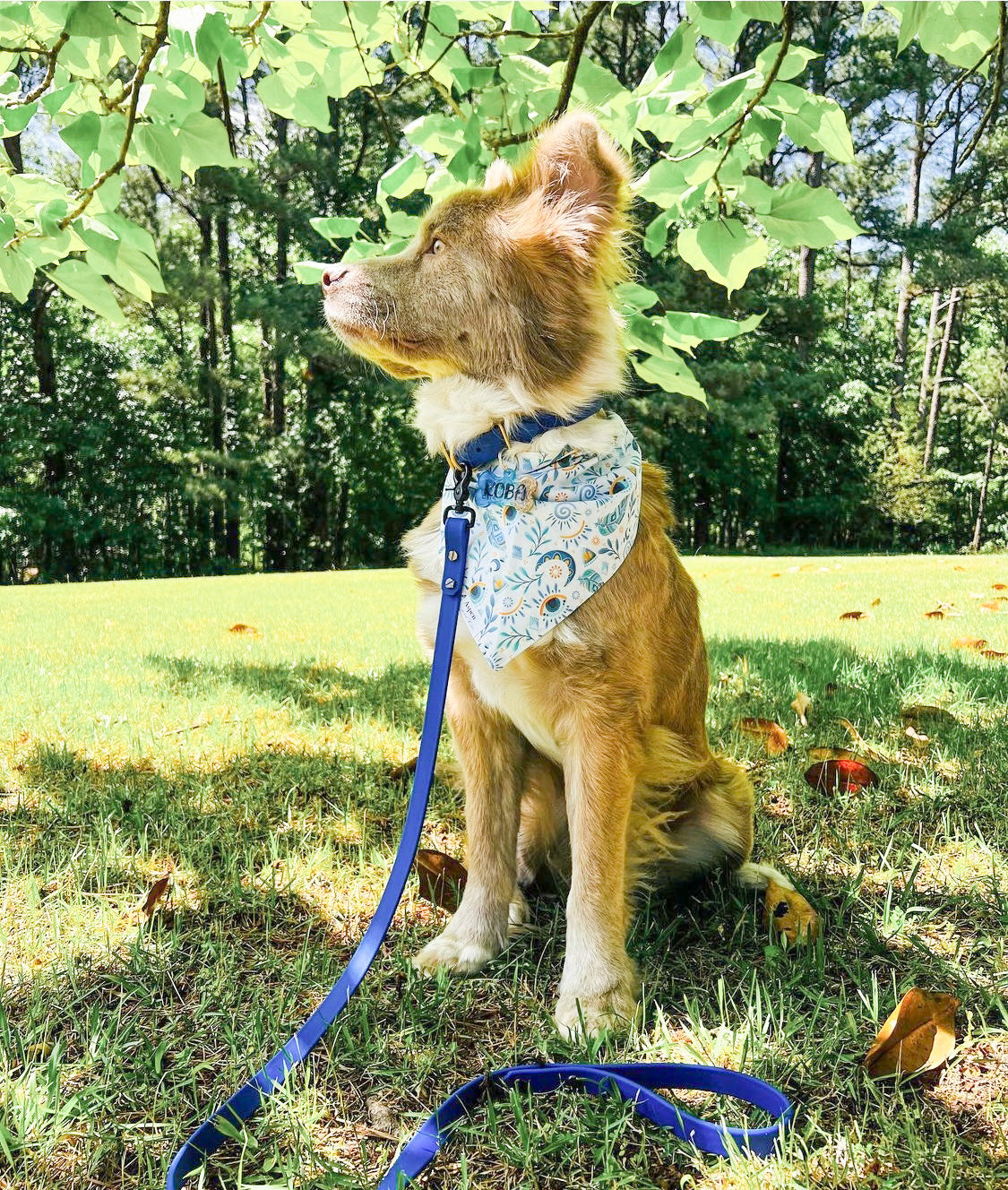 Dog Bandana - Providence