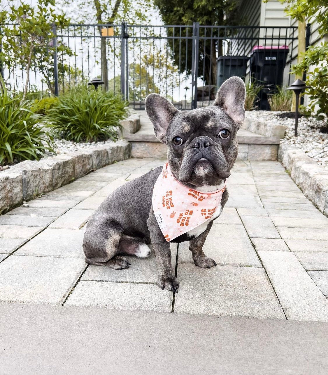Mental Health Dog Bandana- Self Love