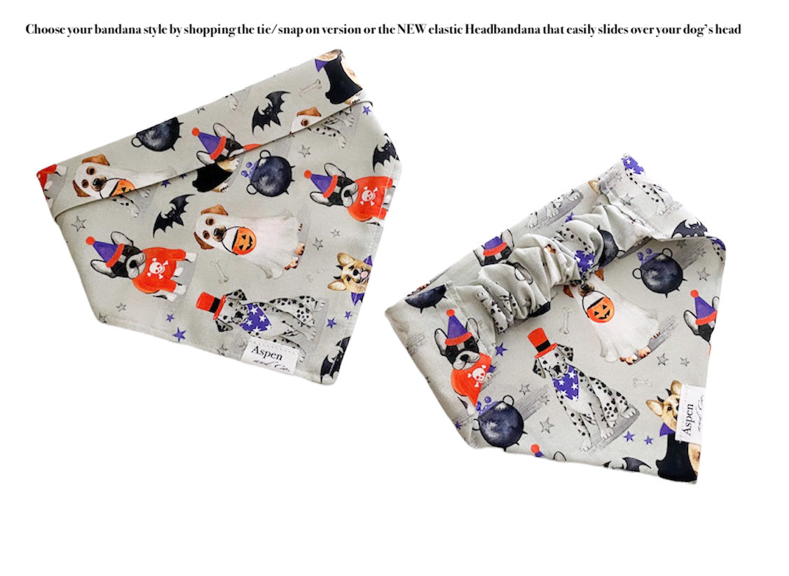 Costume Party - Elastic Dog Bandana (Halloween)