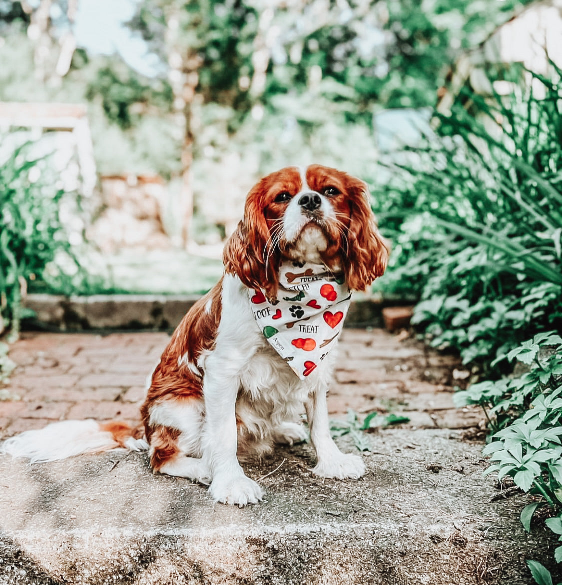Dog Bandana - Dog Life