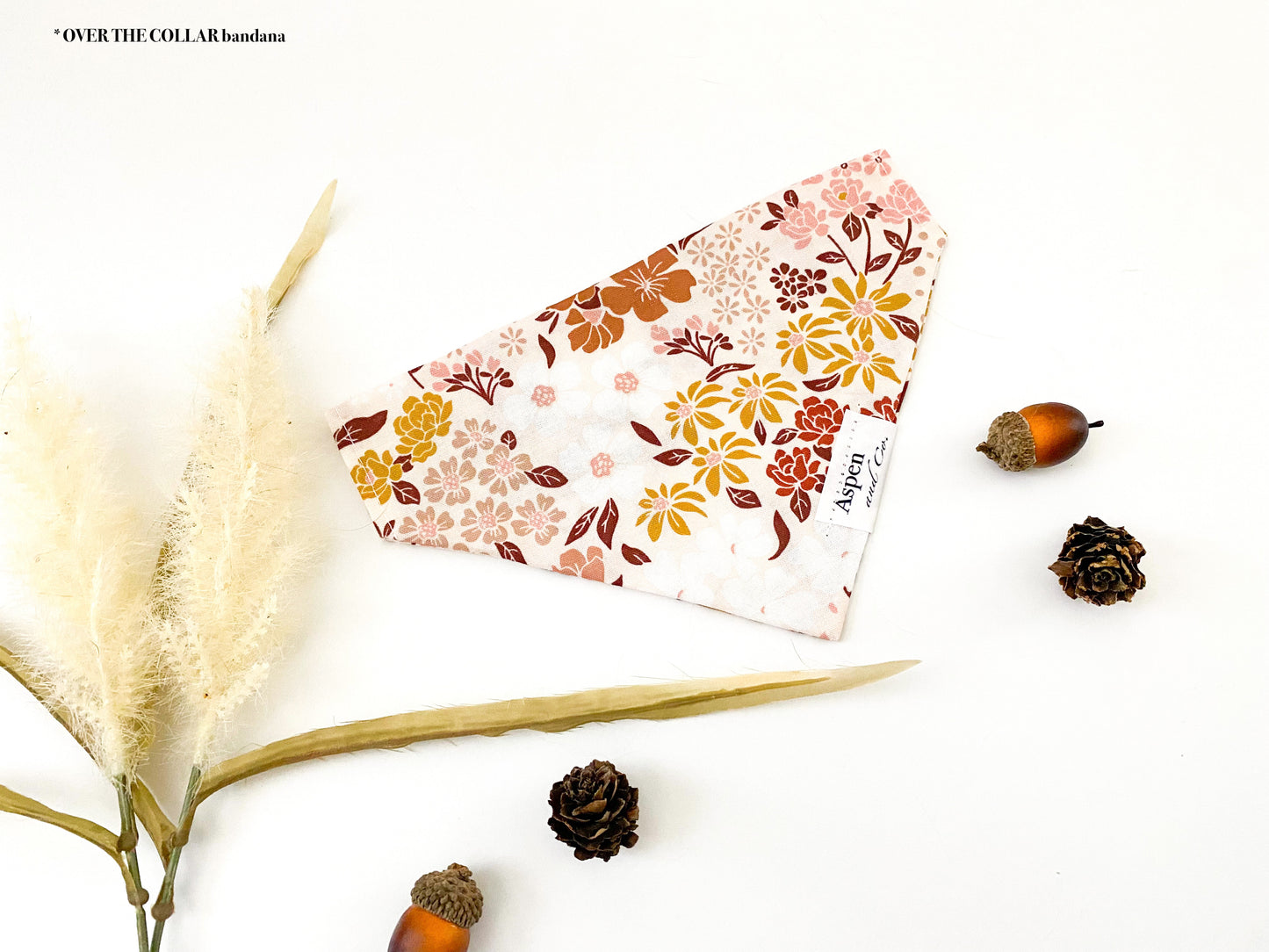 Gold Rush - Fall Collection