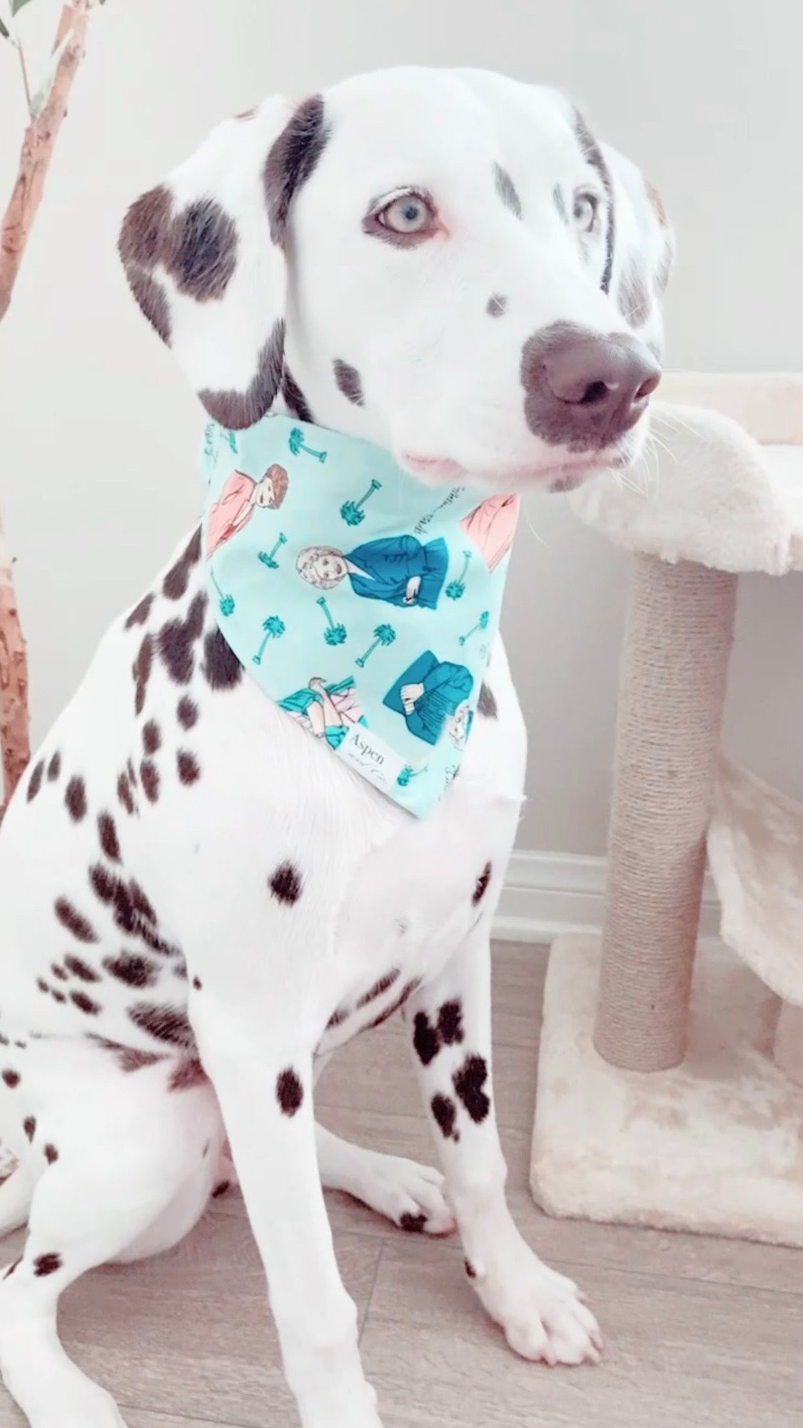 Shady Pines - Elastic Dog Bandana
