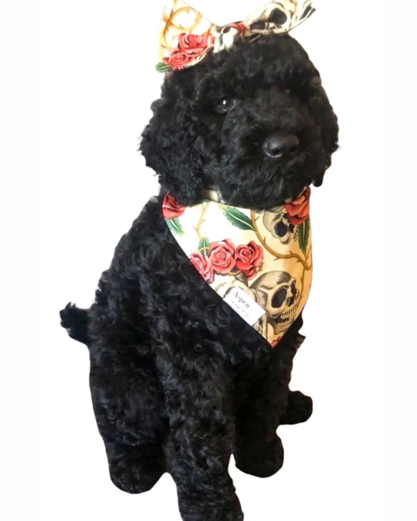 Calavera (Skull) - Halloween Dog Bandana