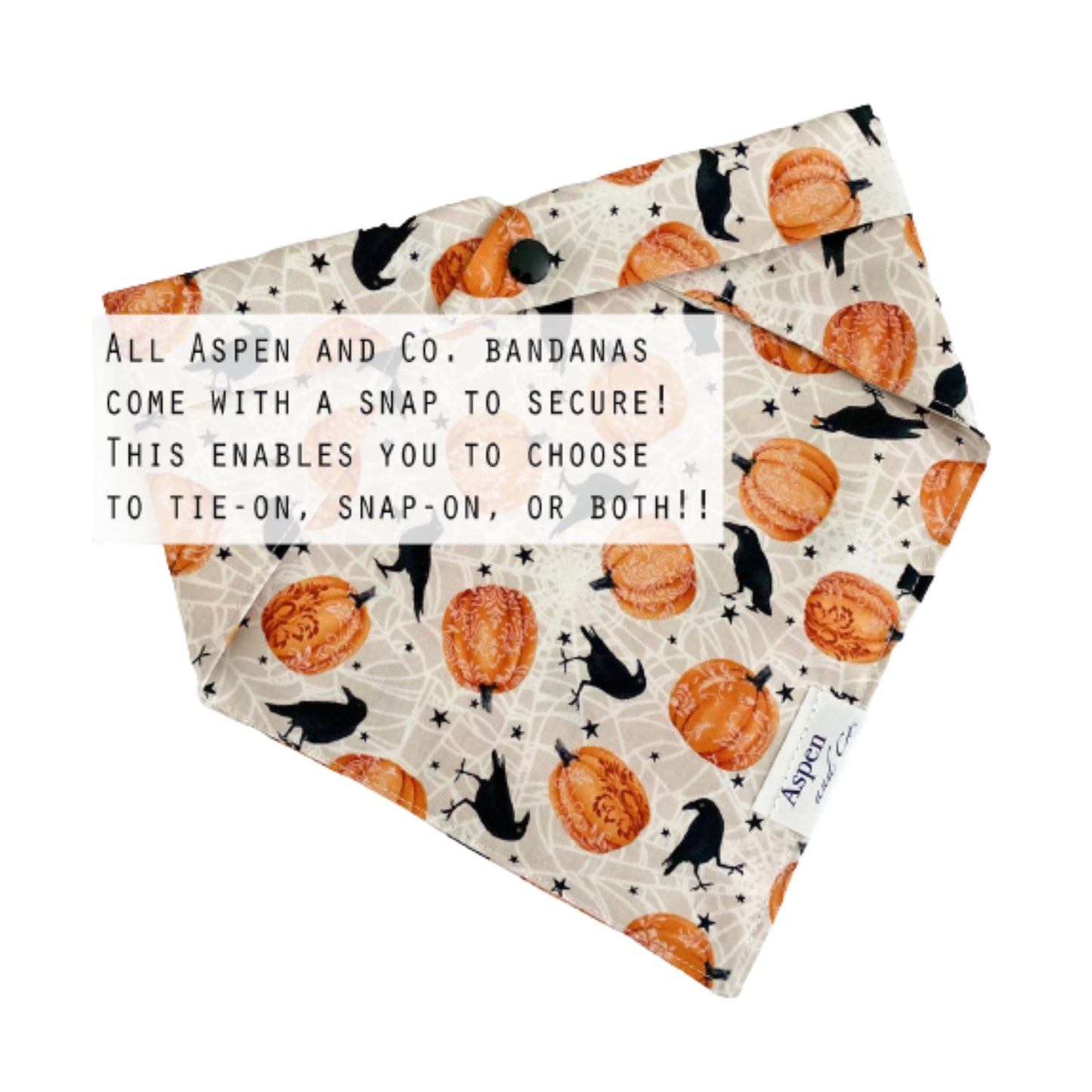 Oh My Gourd - Halloween Dog Bandana