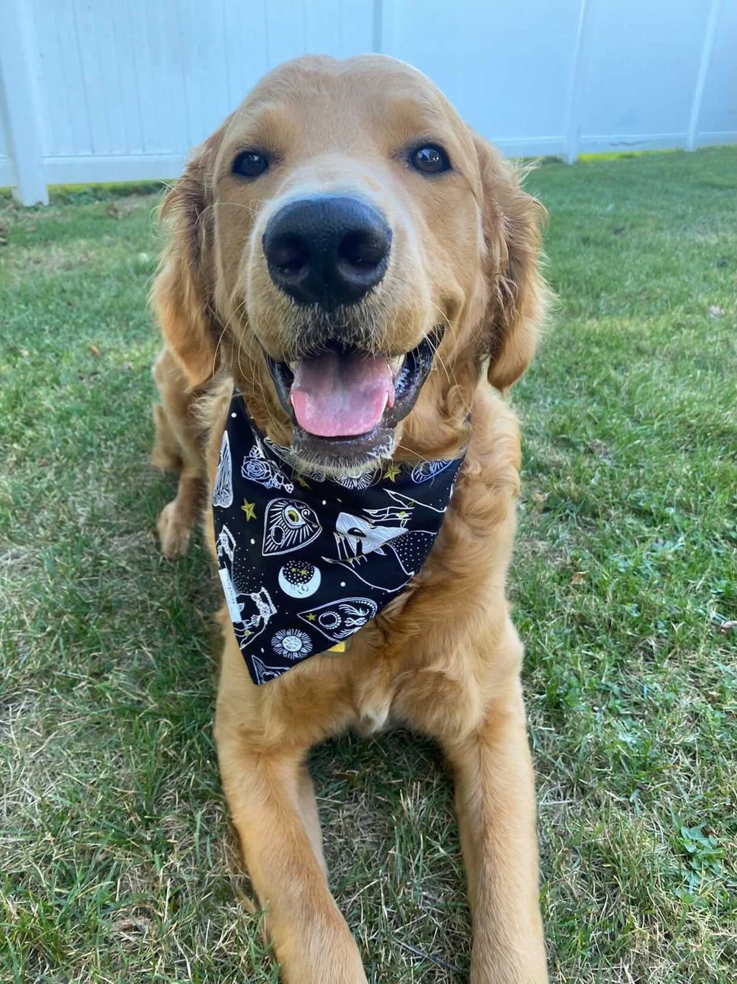 Hocus Pocus - Tie/Snap Halloween Dog Bandana