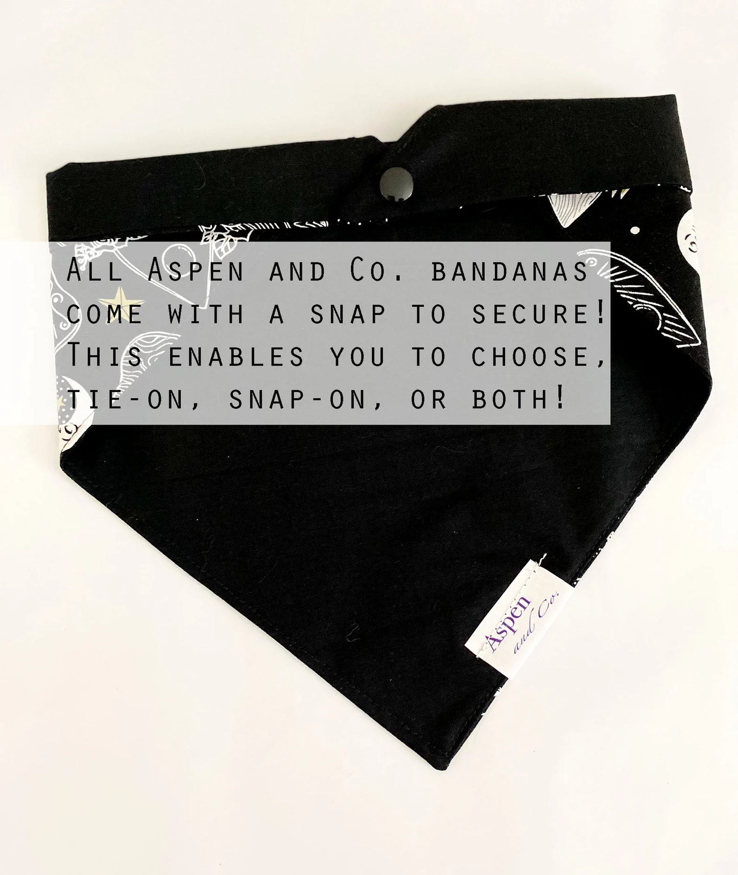 Hocus Pocus - Tie/Snap Halloween Dog Bandana