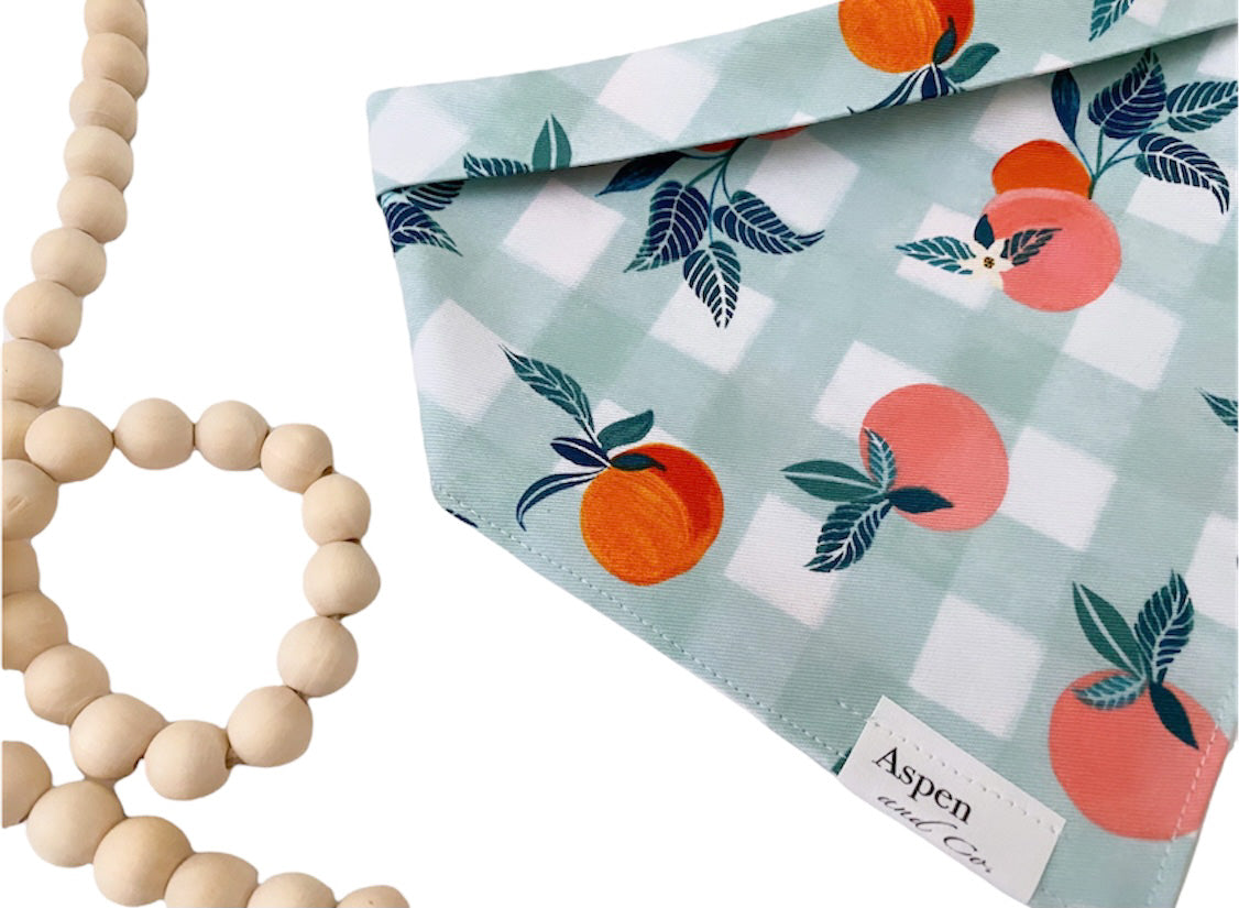 Dog Bandana - Jubilee (Peaches)