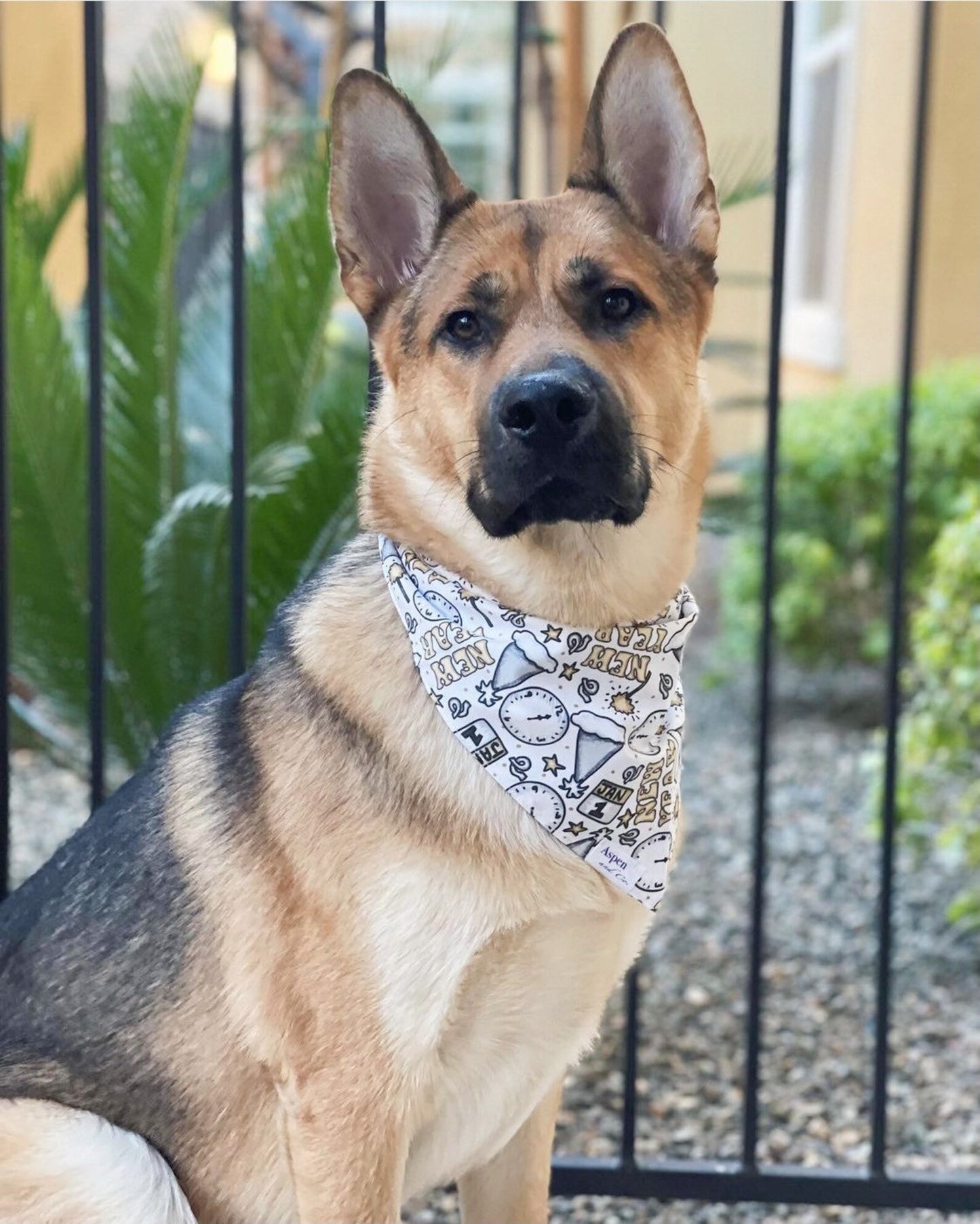Dog Bandana - New Year