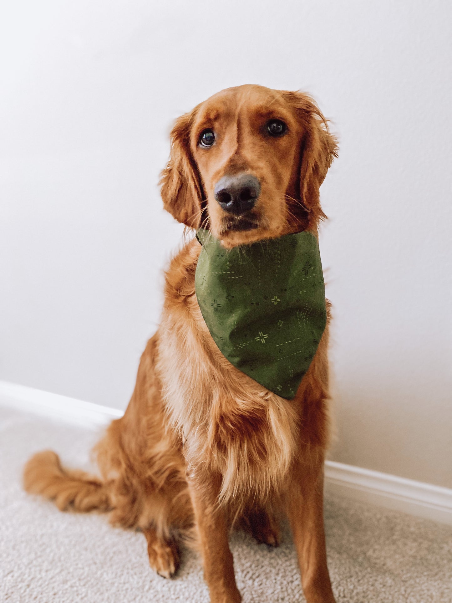 Reversible Headbandana Olive + Robins Egg (Elastic Dog Bandana)