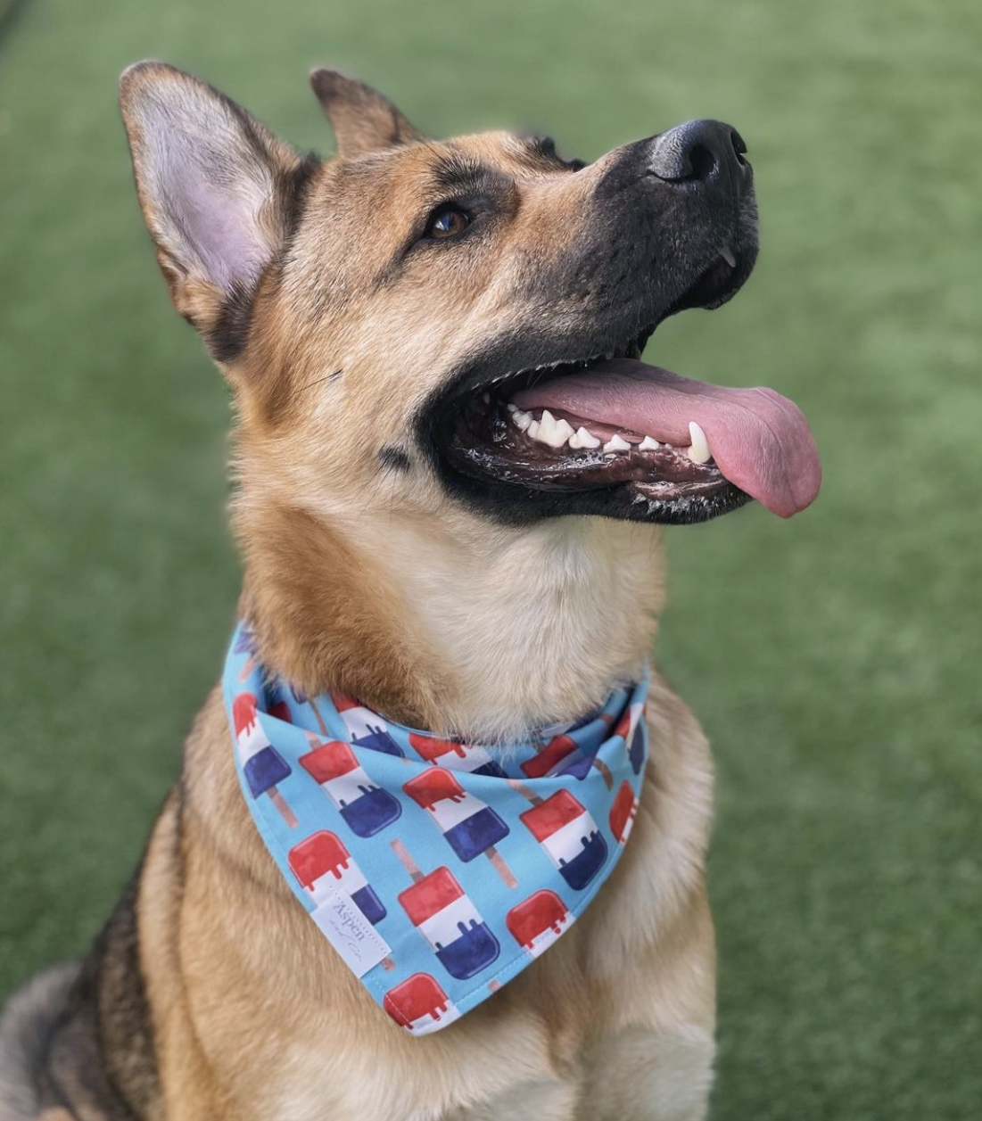 Dog Bandana- Patriotic Popsicles (4th of July Dog Bandana)
